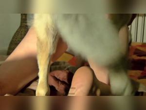 Sex with Dog Story: Traum von einem Wolf