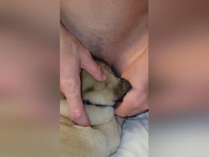 Watch this woman fuck with a dog in a bestiality sex video
