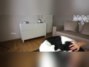 Sex with Dog Video: Discover the Limits of Bestiality