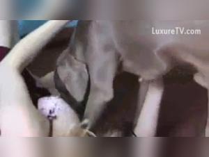 Une Expérience Bestiale et Extrême