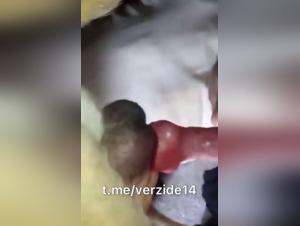 Extreme sexual experience with a dog