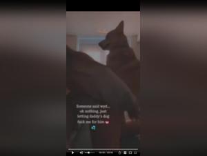 Bestiality: discover the forbidden pleasures