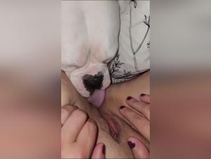 Esplorazioni sugli animali: limiti cancellati, piacere proibito