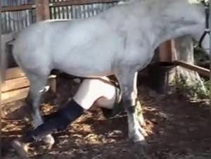 Equestrian domination: Wild kisses and animal pleasure