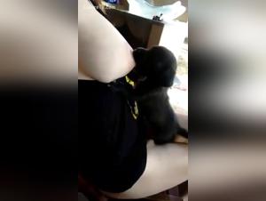 Zoophilia video with a woman and her puppy
