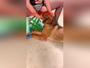 Feticismo animale: una moglie affascinata dal suo cane