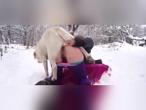 Sex video with a dog: an intense and exciting experience