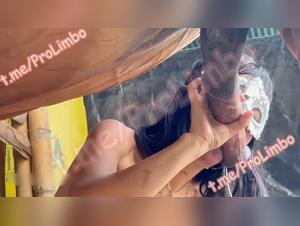 free beastiality videos