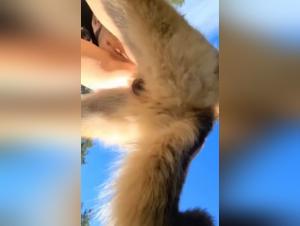 Outdoor Hardcore and Extreme Scenes