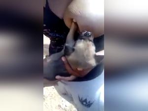 Sex Scene with Dog - Exciting Zoophilia Video