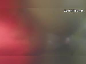 A bestial and passionate encounter