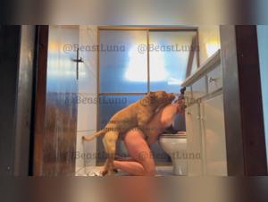 Concediti esperienze sensuali proibite con i nostri video XXX di cani-donne