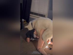 Putains and dogs, a unbridled passion