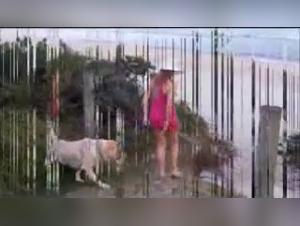 Bestialita estrema: elefante e donna colossali ridotti a strumento di piacere animale