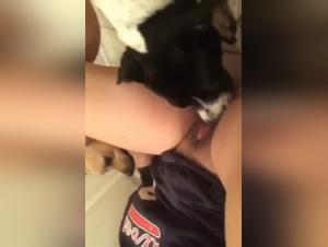 Dog sex videos : une teen se fait lécher la chatte par son chien