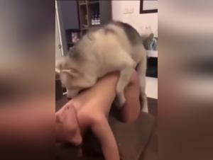 Indulge in the Extreme: Unbridled Sex Acts with Dogs
