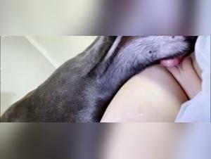 k9girl Encounters: Unleashing Wild Desires