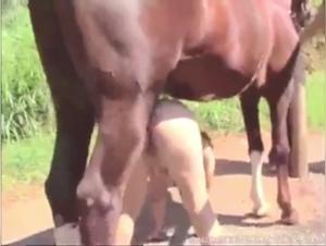 Bestiality video with a Latin woman and a horse