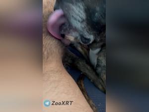 Broken taboo, pure animal pleasure
