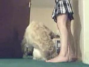 His body responds to impulses, his dog becomes his object of desire