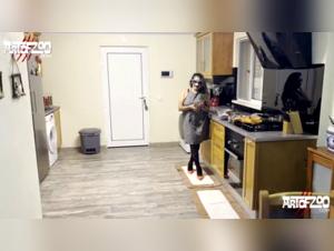 Extreme sex video with dog