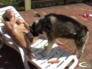 Zoophilia video with a husky: an intense sexual experience