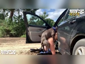 Moments of intense fun with animals