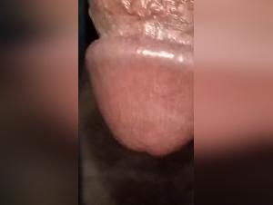 Zoophilia Boundaries: Pushing the Limits