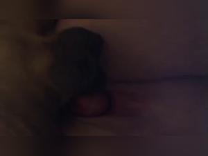 Check out Part 6 of our Dog Sex Compilation