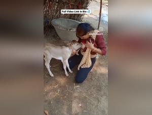 Bestiality Nuances: Dog, Girl Scenarios