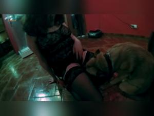 Experience Unforgettable Moments with Hard Reign - Olympus