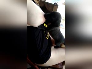 Vidéo de sexe avec chien : Femme allaitant un chiot