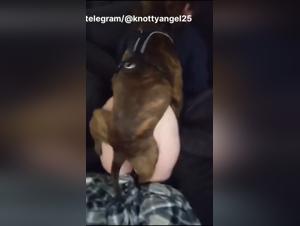 Découvrez l'art de la zoophilie avec notre chien