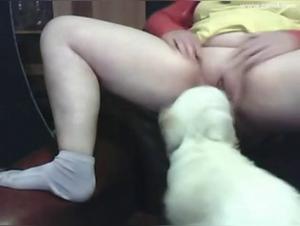 Die tiefe Kehle einer Schlampe, die von einem Hund verschlungen wird