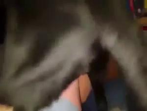 the forbidden realm of animal xxx