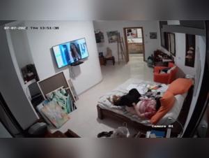 Sex scene with a dog: a woman under the spell