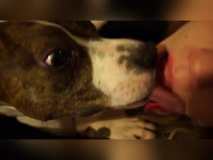 Bestiality sex video: woman and dog