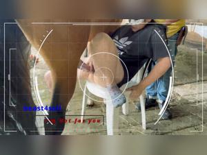 Forbidden Pleasures, Raw Experiences