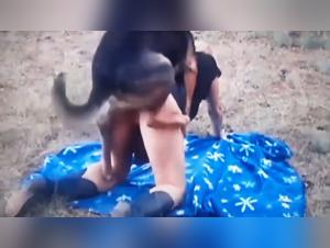 Deliziosa rivelazione: penetra nell'animalita