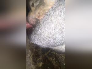 Exploring Unusual Bonds