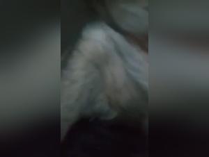 Discover the Pleasures of Bestiality with our Latest Video