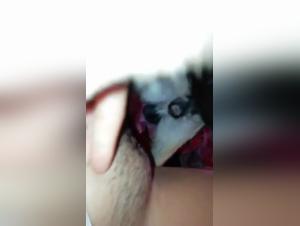 Teenage Girl and Chihuahua - A Story of Bestiality