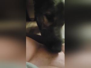 Lickjob hardcore, dannatamente adolescente sotto il dominio degli animali
