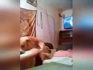 Interspecies Intimacy Through Denise Frazier's Lens