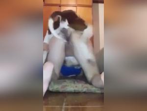 Discover the world of zoophilia with this dog sex video