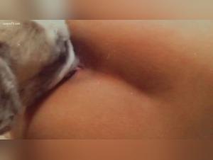 Zoophilia video: lick teen dog
