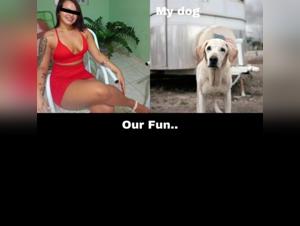 Enjoy our doggy sex and bestiality cum videos