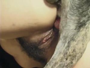 Brutale Zoophilie: Harte Tierorgien