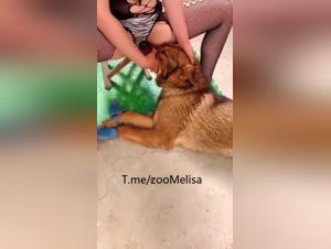 Scopata e seduzione: la folle passione di una donna cinese per il suo cane