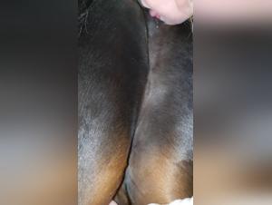 An Exciting and Unique Experience